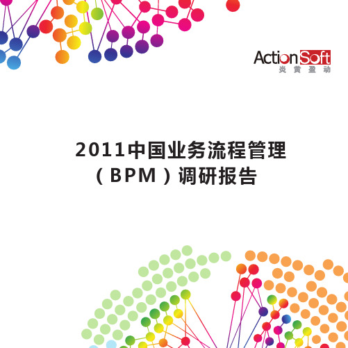 炎黄盈动_bpm_research_china_2011
