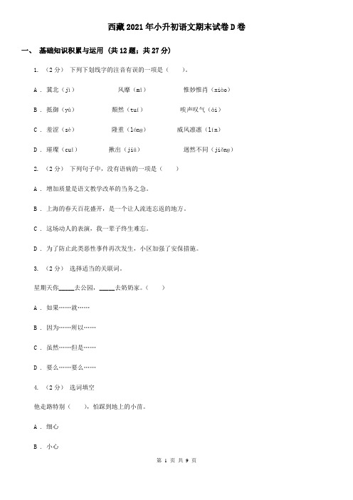 西藏2021年小升初语文期末试卷D卷(精编)
