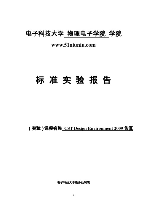 CST Design Environment 2009仿真_实验报告-卢兴国