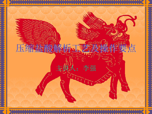压缩盐酸解析工艺及操作要点