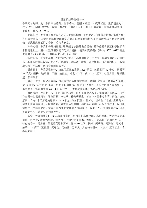 香菜栽培技术
