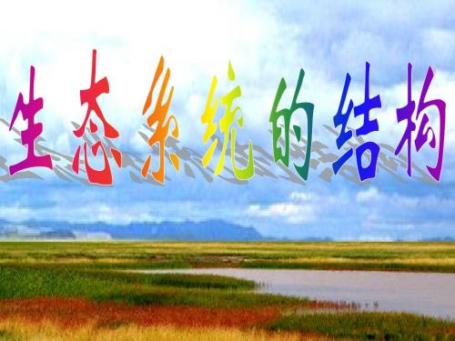 公开课_生态系统的结构.ppt [自动保存的]
