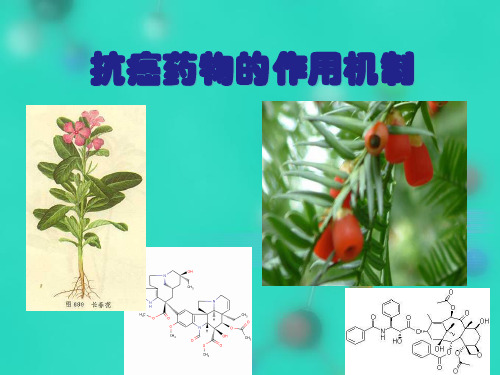 抗癌药物机制 癌症药副作用
