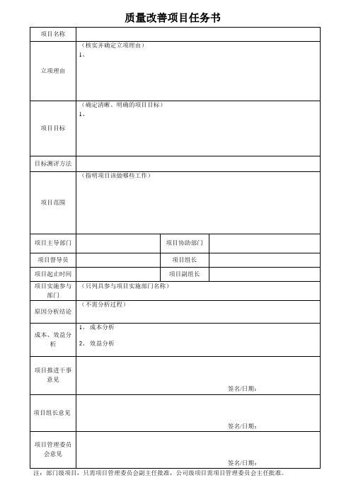 质量改善项目任务书