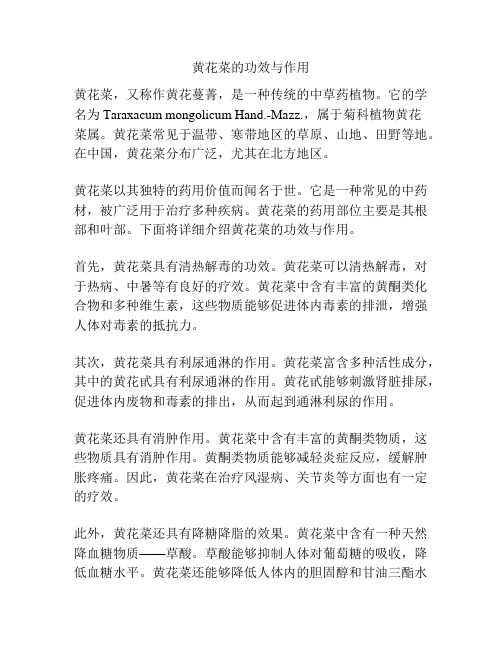 黄花菜的功效与作用