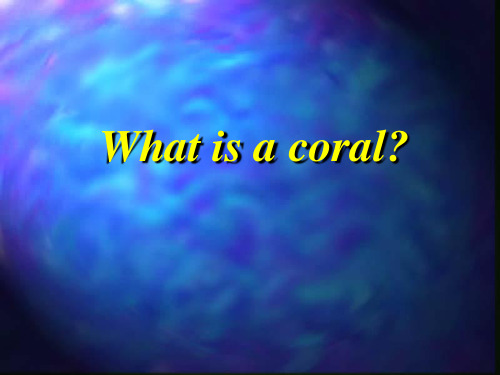 珊瑚礁What is a coral课件