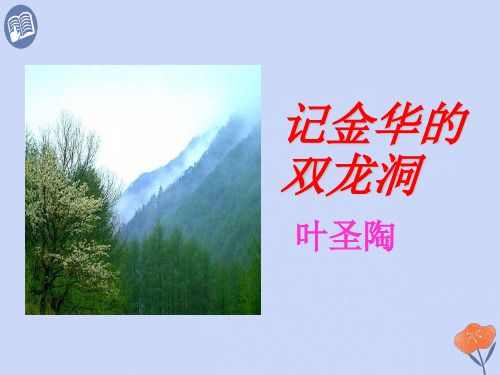 最新人教版(部编版)小学语文四年级下册《记金华的双龙洞》精品课件