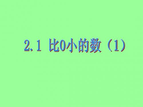 数学：《2.1比0小的数》课件一(苏科版七年级上)