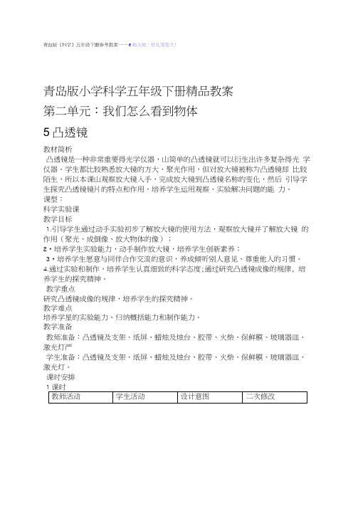 青岛版小学科学五年级下册第二单元我们怎么看到物体教案