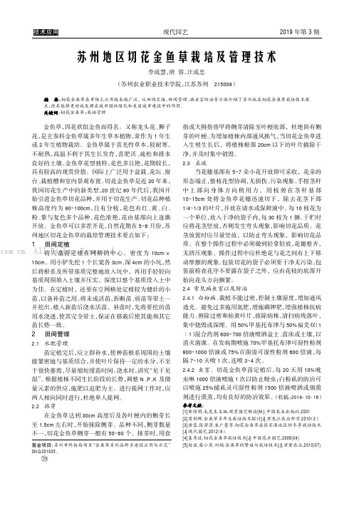 苏州地区切花金鱼草栽培及管理技术