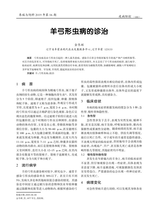 羊弓形虫病的诊治