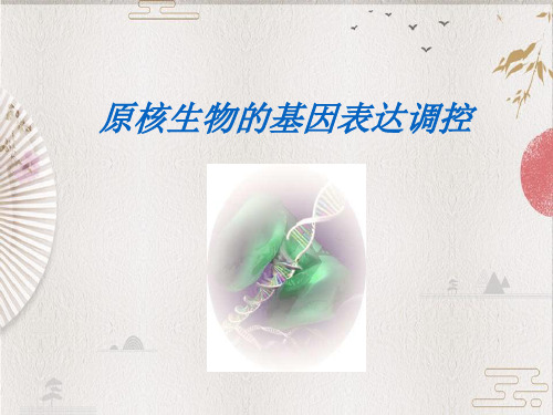 【生物化学】原核生物的基因表达调控