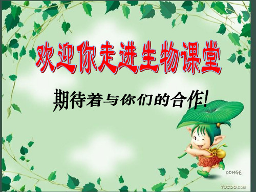 苏科版生物七上7.1《能量的释放和利用》同步实用课件(共29张PPT)
