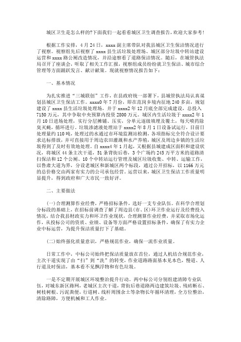 最新城区卫生调查报告范文