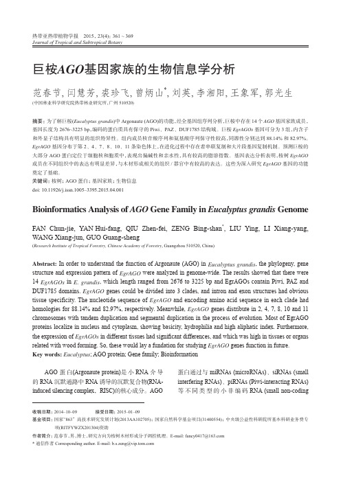 巨桉AGO基因家族的生物信息学分析