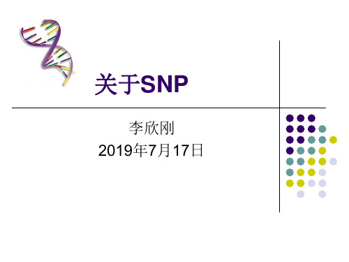 关于SNP-文档资料