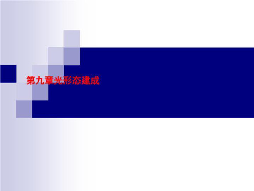 第九章光形态建成