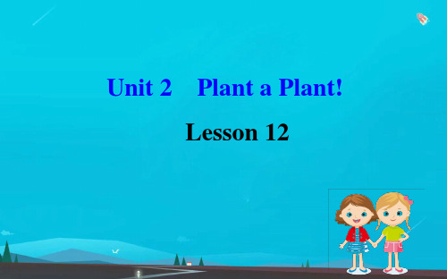八年级英语下册Unit2PlantaPlantLesson12Danny’sPlant课件