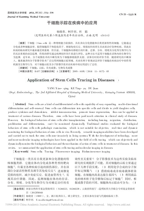 干细胞示踪在疾病中的应用_杨晓青