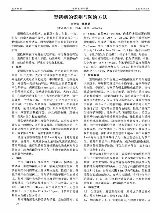 梨锈病的识别与防治方法