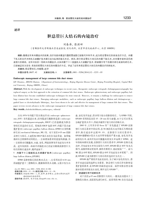 胆总管巨大结石的内镜治疗 刘春涛