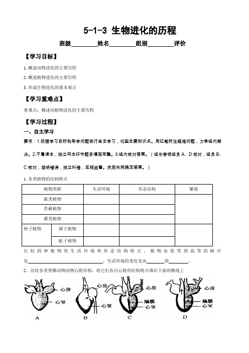 济南版八年级生物下册5.1.3《生物进化的历程》导学案设计(无答案)