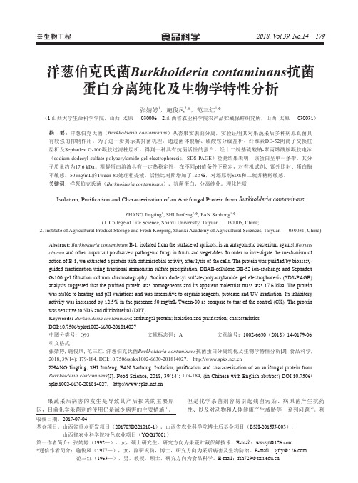 洋葱伯克氏菌Burkholderia contaminans抗菌蛋白分离纯化及生物学特性分析