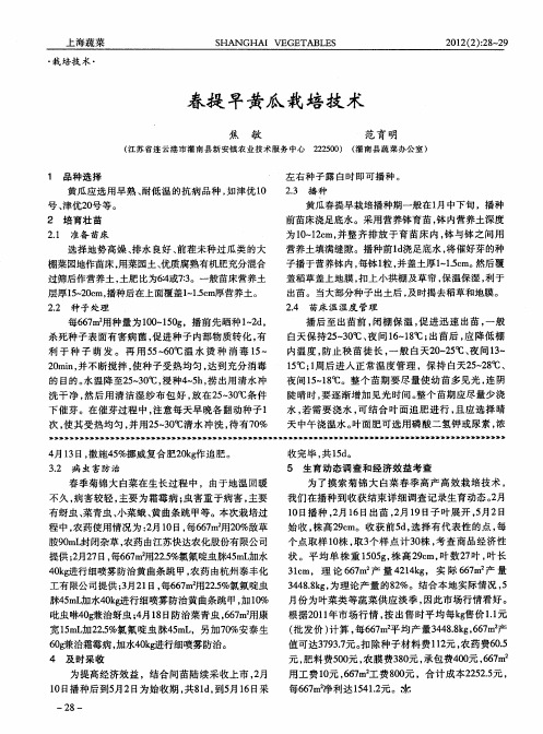 春提早黄瓜栽培技术