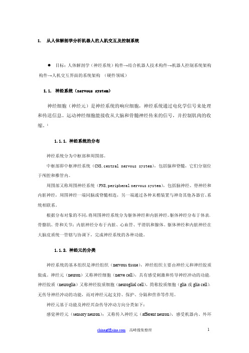 从人体解剖学分析机器人的人机交互及控制系统