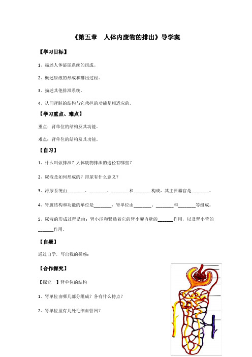 生物人教版七年级下册《人体内废物的排出》导学案