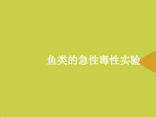 鱼类的急性毒性实验推选PPT资料