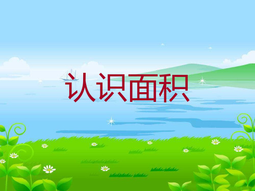 三年级上册数学课件-4.24 认识面积丨浙教版  (共20张PPT)