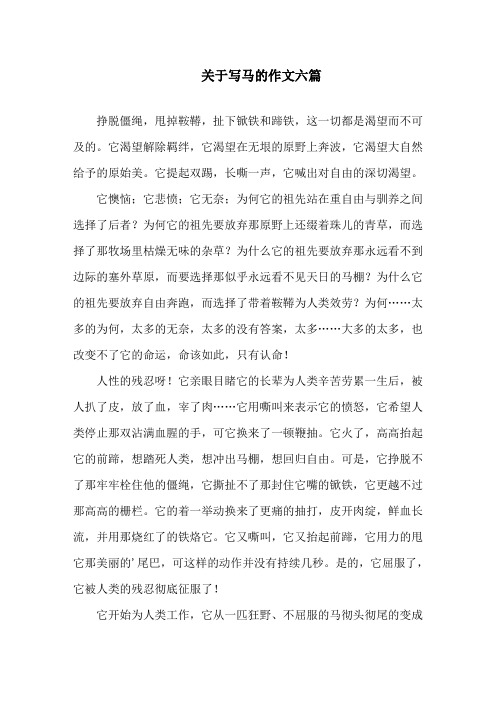 关于写马的作文六篇精选