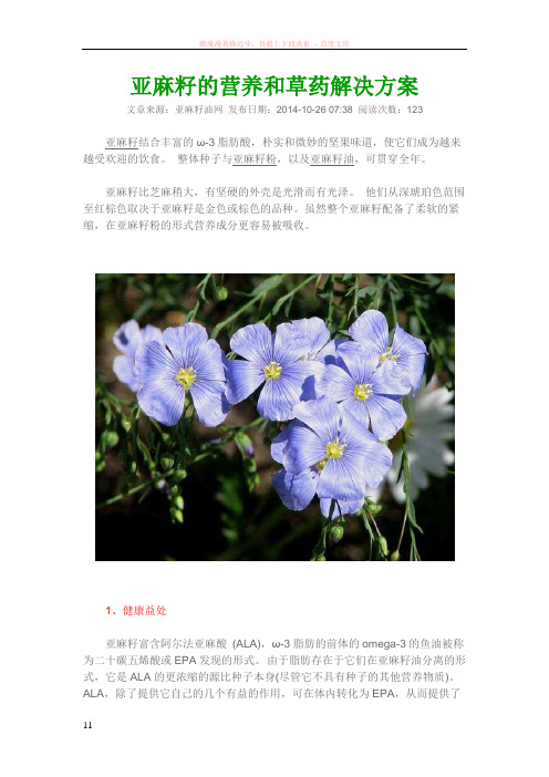 亚麻籽的营养和草药解决方案