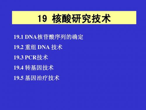19-核酸研究技术