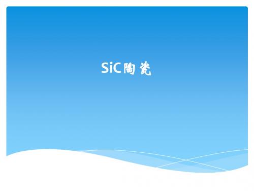 结构陶瓷3(SiC)