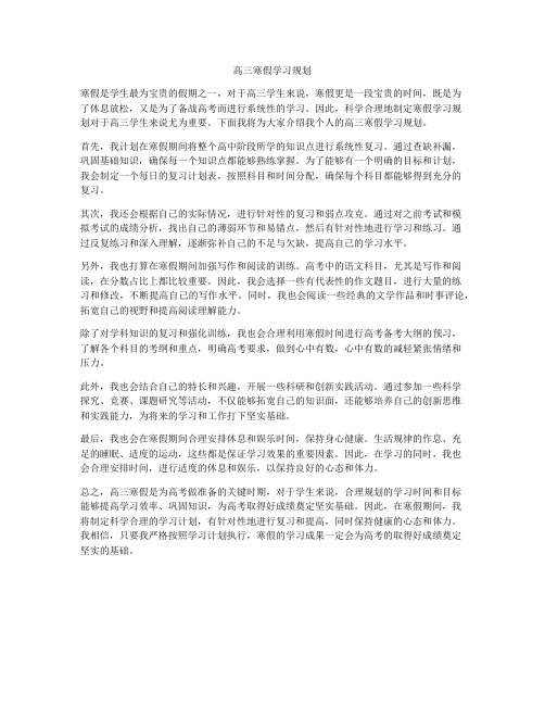 高三寒假学习规划