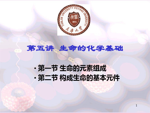 05讲-生命的化学基础