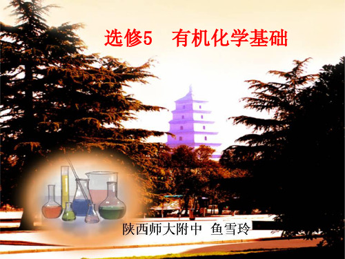 高考复习有机物的分类与命名