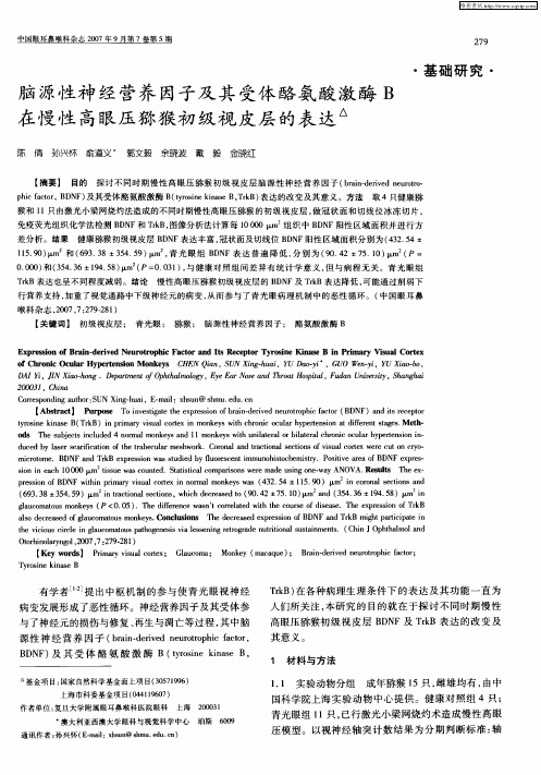 脑源性神经营养因子及其受体酪氨酸激酶B在慢性高眼压猕猴初级视皮层的表达