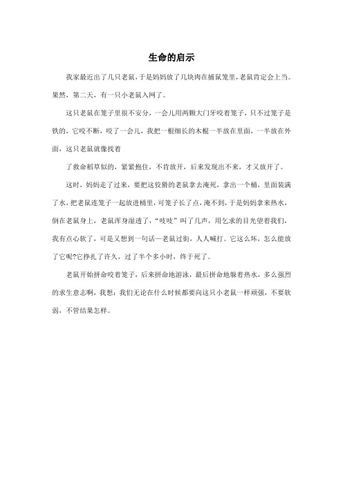 生命的启示_小学五年级作文450字