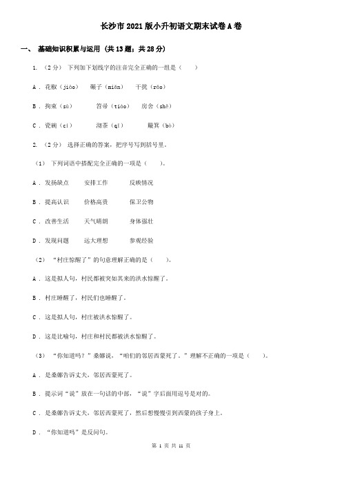 长沙市2021版小升初语文期末试卷A卷(新版)