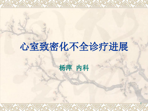 心肌致密化不全ppt课件
