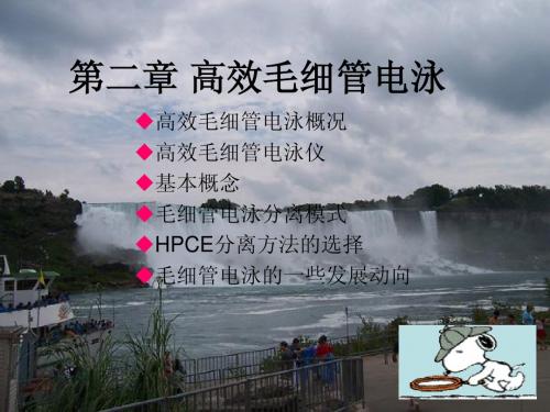高效毛细管电泳