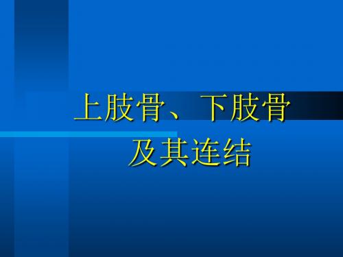 4上肢骨、下肢骨