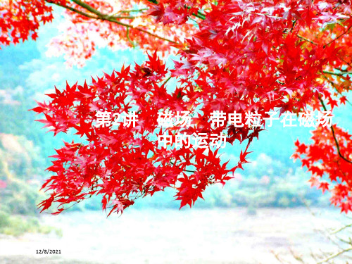 高考物理二轮复习 专题三 电场和磁场 第2讲 磁场 带电粒子在磁场中的运动课件