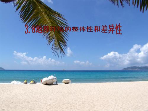 整体性和差异性