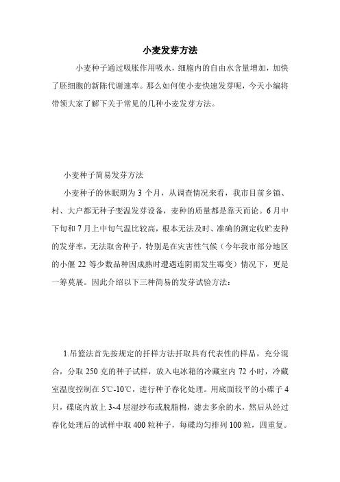 小麦发芽方法.doc