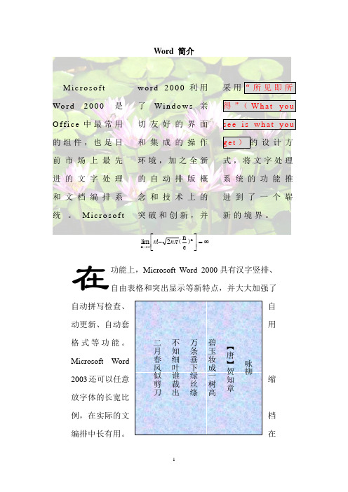 Word简介