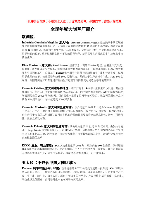 全球年度大制革厂简介